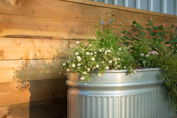 Mustard Seed B&B On The Llano Екстер'єр фото